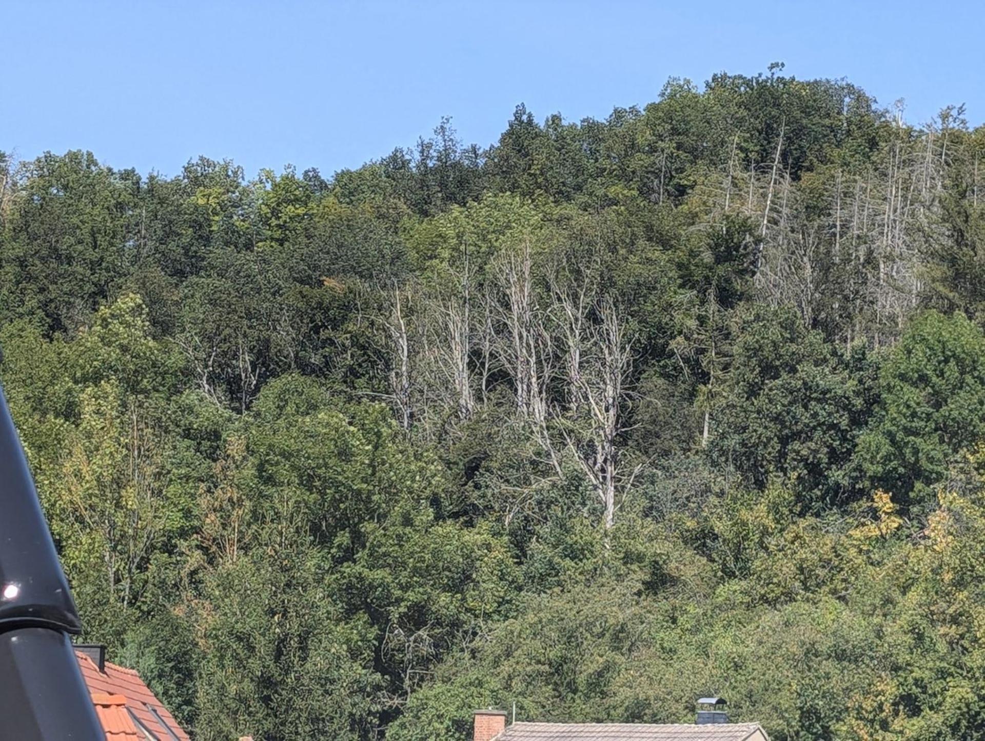 Ferienwohnung Mit Ausblick In Wimmelburg Esterno foto